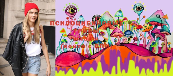 2c-b Белоозёрский