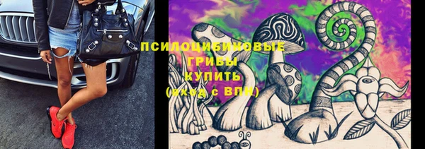 2c-b Белоозёрский