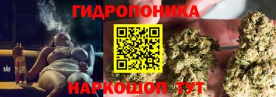 гашик Лениногорск