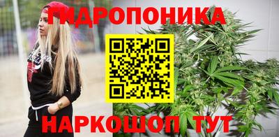 гашик Лениногорск