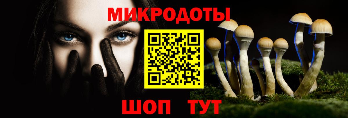 Великий Устюг  Псилоцибиновые грибы Psilocybine cubensis  Галлюциногенные грибы Psilocybe  Вход с VPN 